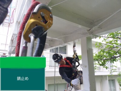 LINE_ALBUM_小田原短研究棟_240725_376